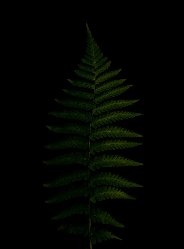 Amoled Starry Night 086 Amoled wallpaper