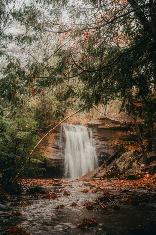 Autumn Forest Waterfall Nature wallpaper