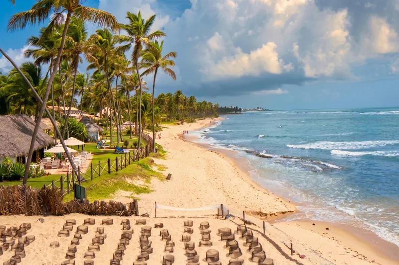 Bahia Tropical Beach Nature wallpaper