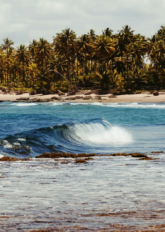 Brazil Tropical Beach Wave Nature wallpaper