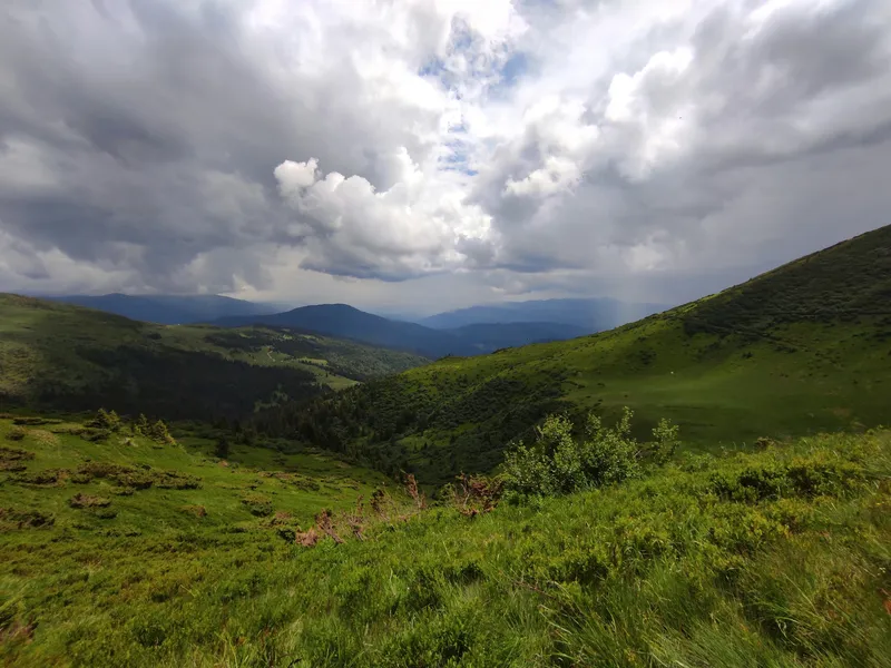 Carpathian Green Hills Clouds Nature wallpaper