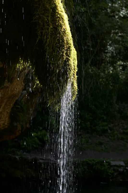 Forest Waterfall Green Jungle Nature wallpaper