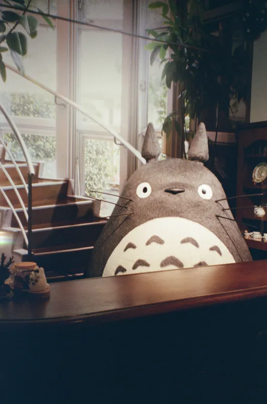 Giant Totoro Plush Anime wallpaper