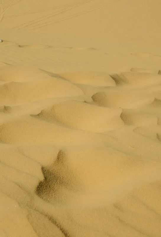 Golden Desert Dunes Wind Nature wallpaper