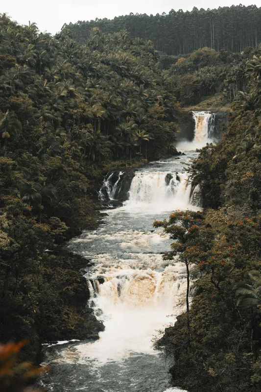 Hawaii Forest Waterfall Nature wallpaper