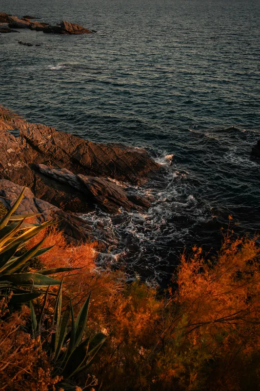 Ligurian Rocky Coast Nature wallpaper