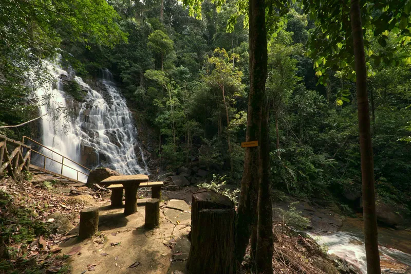 Lush Forest Waterfall Picnic Nature wallpaper