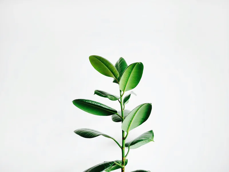 Minimal Clean Interior 078 Minimal wallpaper