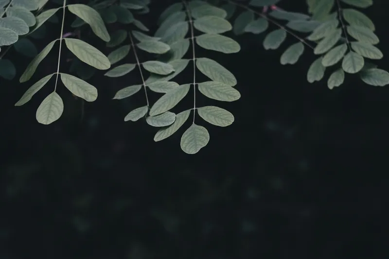 Minimal Geometric 017 Minimal wallpaper
