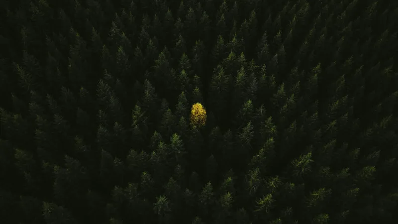 Minimal Gradient 045 Minimal wallpaper