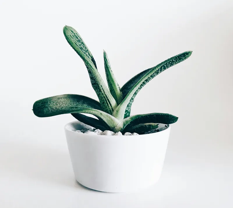 Minimal Gradient 075 Minimal wallpaper