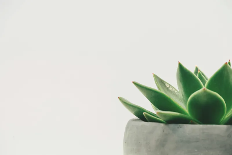 Minimal Gradient 085 Minimal wallpaper