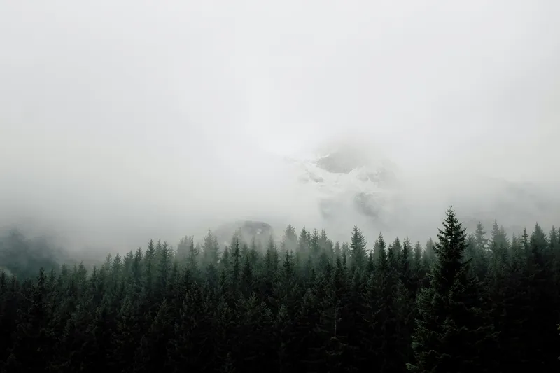 Minimal Misty Landscape 042 Minimal wallpaper