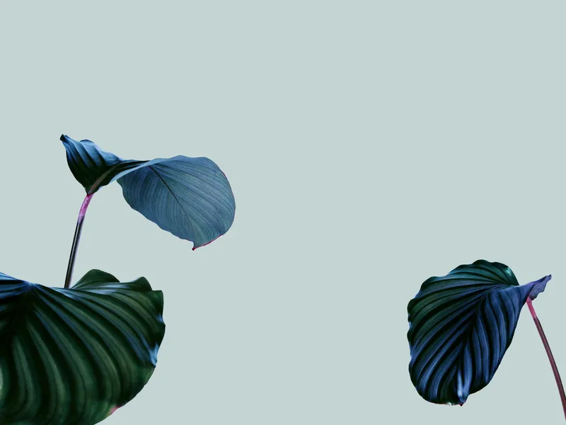 Minimal Nature 009 Minimal wallpaper