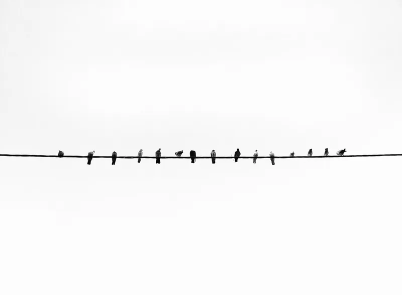 Minimal Single Subject 013 Minimal wallpaper