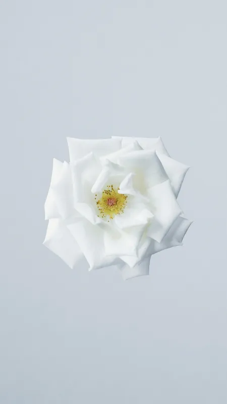 Minimal Single Subject 063 Minimal wallpaper