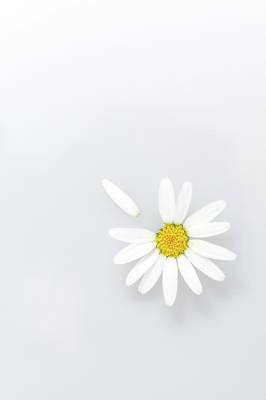 Minimal Texture 050 Minimal wallpaper