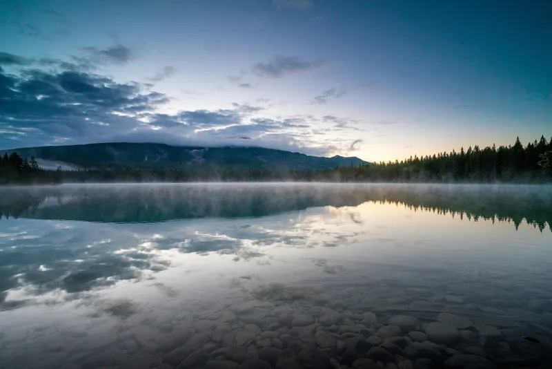 Misty Lake Forest Dawn Nature wallpaper