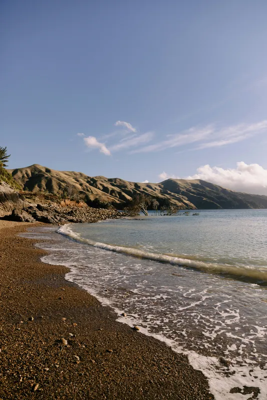 New Zealand Rocky Beach Nature wallpaper