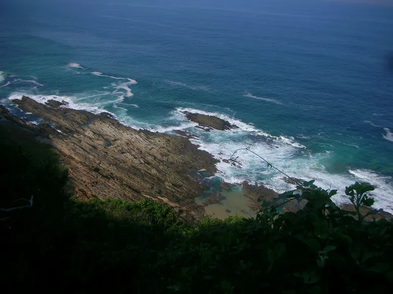 Rocky Coast Green Vegetation Nature wallpaper