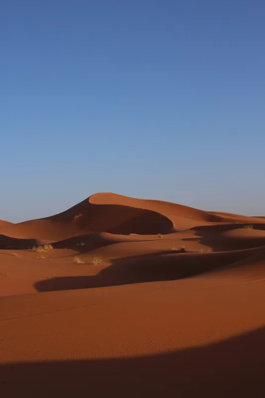 Sahara Desert Dunes Nature wallpaper