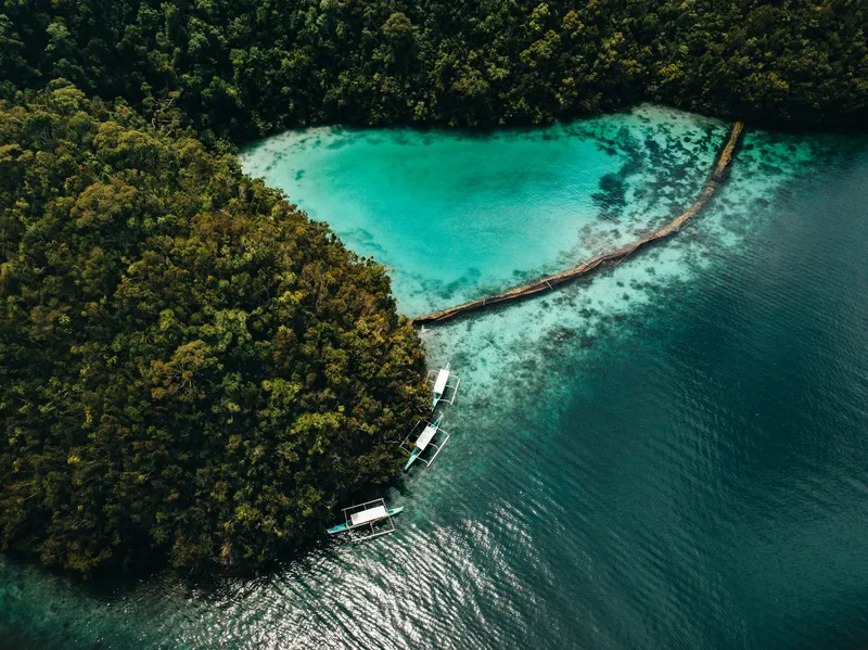 Siargao Island Lagoon Nature wallpaper