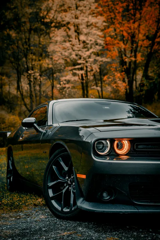 Sports Car 022 Cars wallpaper