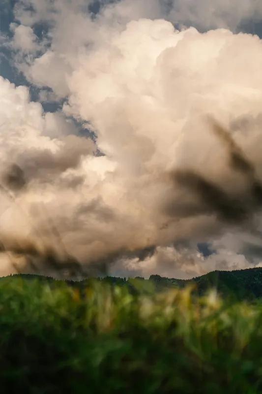 Sun Rays Green Hills Nature wallpaper