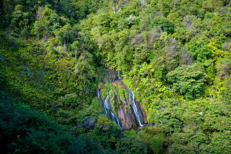 Tangoio Forest Waterfall Nature wallpaper