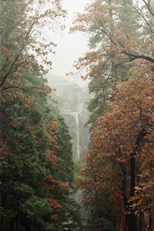 Yosemite Waterfall In Forest Nature wallpaper